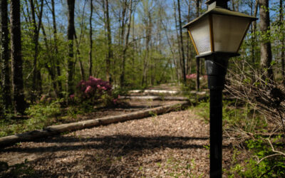 20240406-PRO32522 20240406-PRO32522